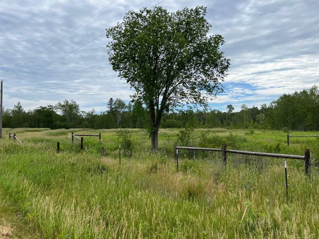 East Meadow | Image 38