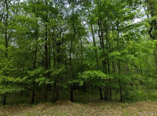 0 Pine Grove Road, Tuskegee, AL, 36083 | Card Image