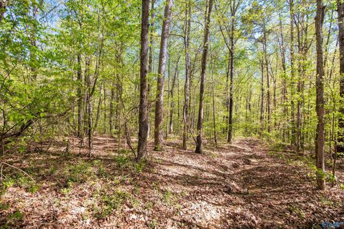 LOT 28 County Road 279, Moulton, AL, 35650-9515 | Card Image