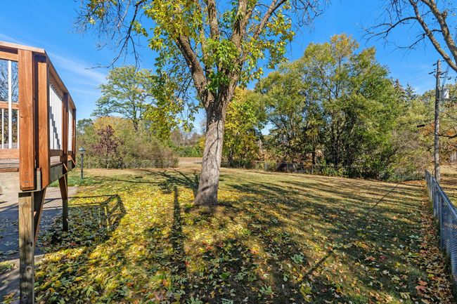 Large, Flat Backyard | Image 26