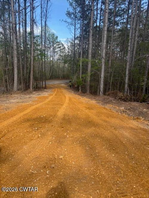 00 Moss Loop, Enville, TN, 38332 | Card Image