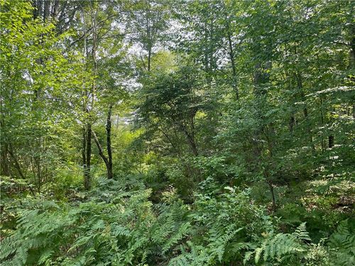 c-266 Callicoon Rd, Damascus, PA, 18415-3528 | Card Image