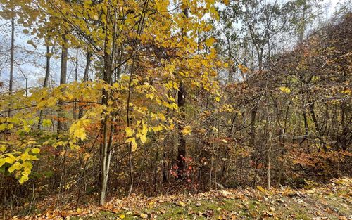 Lot 5A Anns Ln, Hayesville, NC, 28904 | Card Image