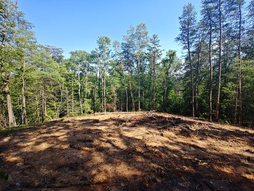 Lot 5 Megan Trace Ln, Turtletown, TN, 37391 | Card Image