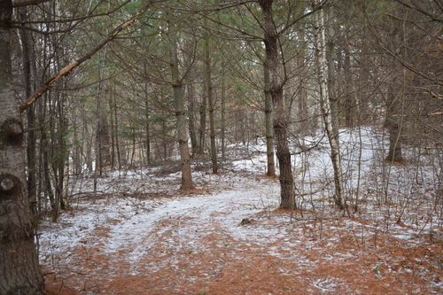 rt 58 Vt Route 58 E, Lowell, VT, 05847 | Card Image