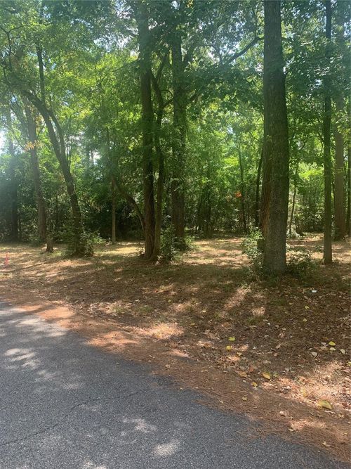 TBD 13 Sweetgum Ln, Livingston, TX, 77351 | Card Image