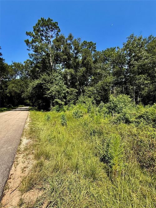 TBD Lot 6 Rolling Hills Dr, Porter, TX, 77365 | Card Image