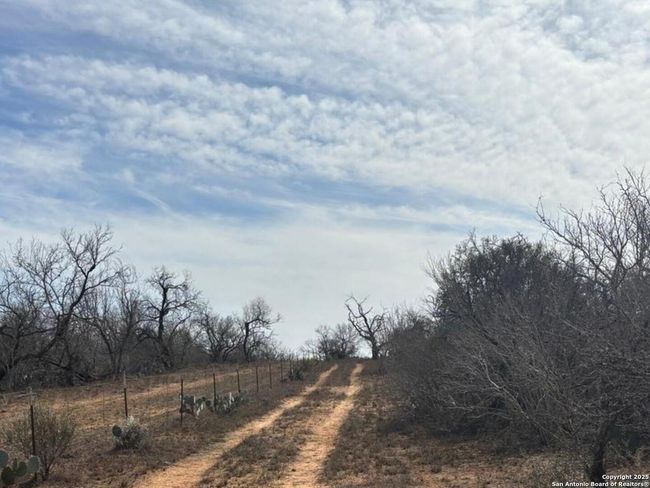 946 County Road 2863, Home with 0 bedrooms, 0 bathrooms and null parking in Bigfoot TX | Image 14
