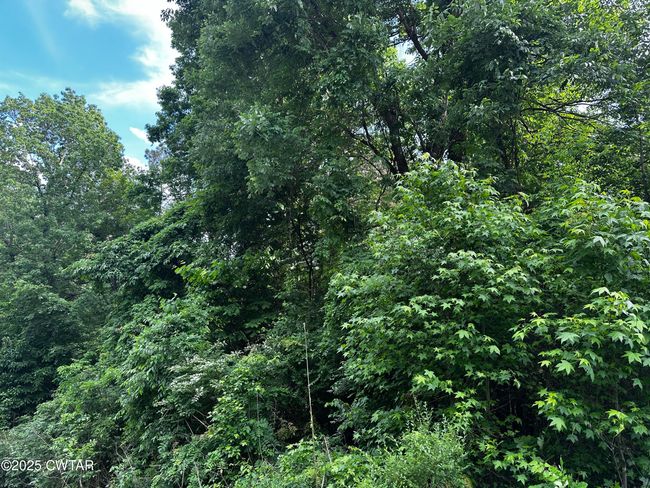 0 Highway 57 E, Home with 0 bedrooms, 0 bathrooms and null parking in Michie TN | Image 9