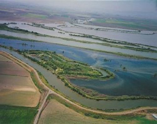 0 Halls Island, Walnut Grove, CA, 95690 | Card Image