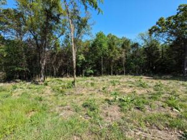 27B & 28B Shelby Lane, Home with 0 bedrooms, 0 bathrooms and null parking in Cecil AR | Image 16