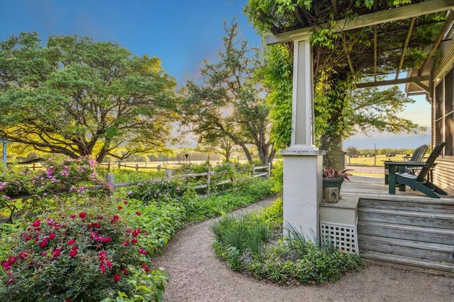 Stunning view of the side porch overlooking the rose garden and live oak trees. | Image 35