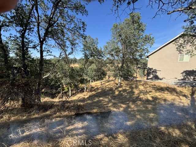 Land in Cottonwood 2