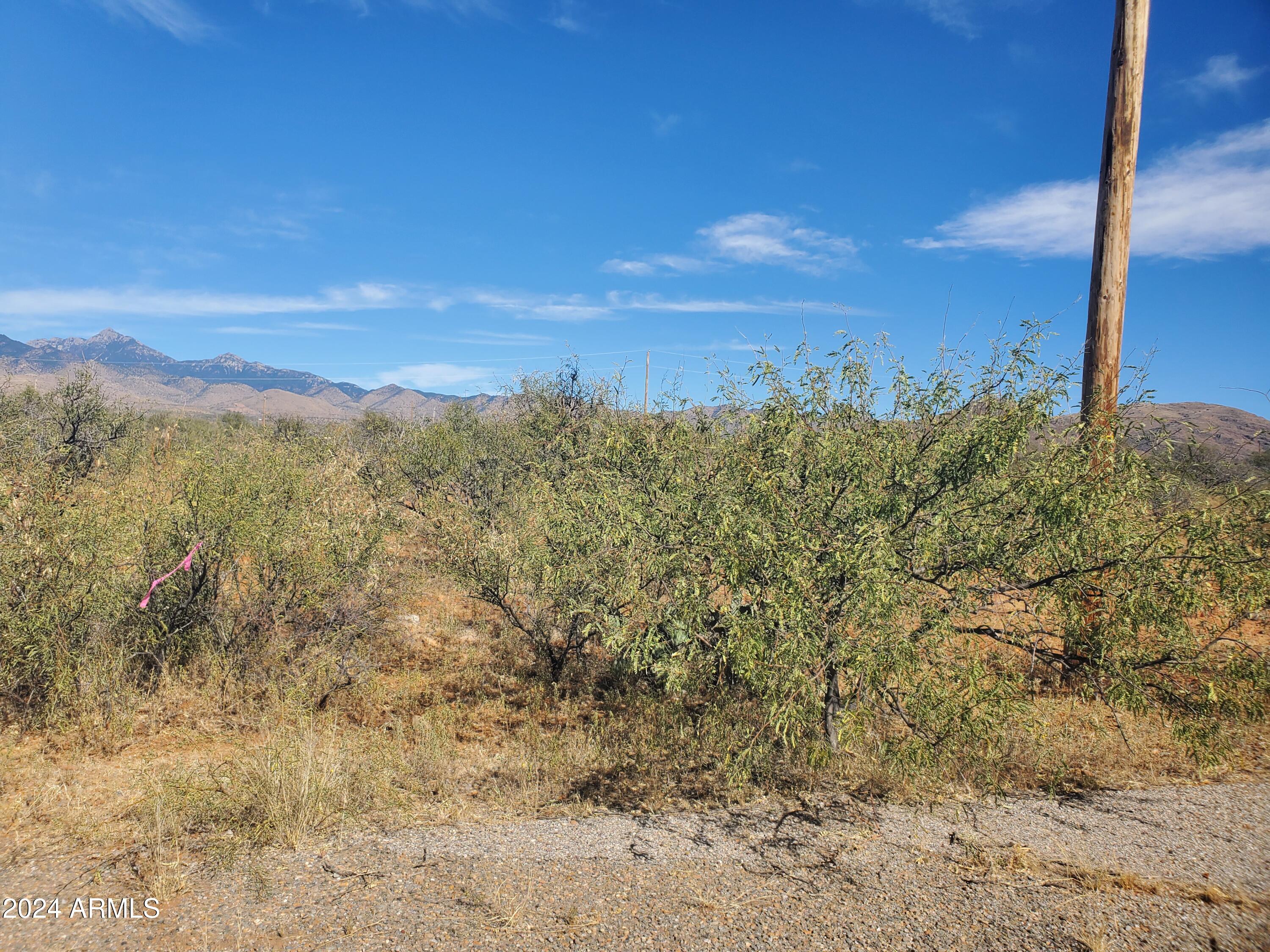 Land in Rio Rico 3