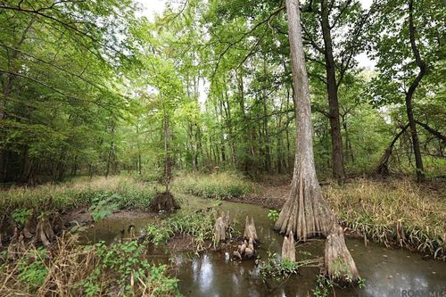 211 Fred Rodgers Rd, Montgomery, LA, 71454 | Card Image