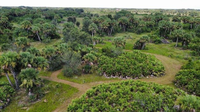 1303 Cabbage Ln, Home with 0 bedrooms, 0 bathrooms and null parking in Okeechobee FL | Image 22
