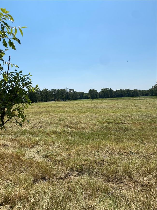 222 Hcr 2205, Home with 0 bedrooms, 0 bathrooms and null parking in Aquilla TX | Image 8