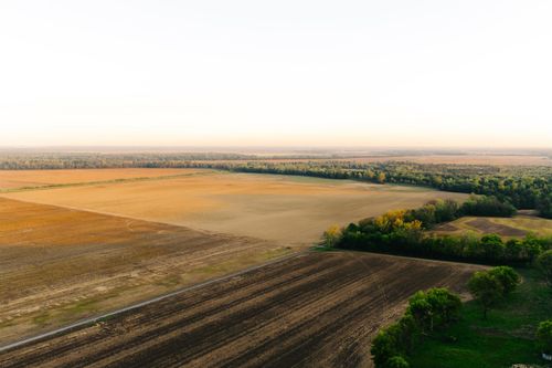 1229 Tar Hill Rd, Dyersburg, TN, 38024 | Card Image