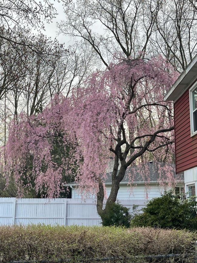 Exterior | Image 39