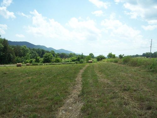 0 Alanthus Hill Rd, Tazewell, TN, 37879 | Card Image