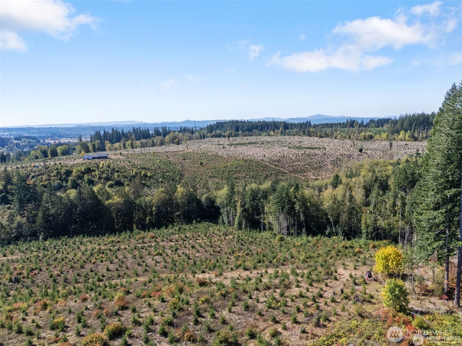 Land in Chehalis 5