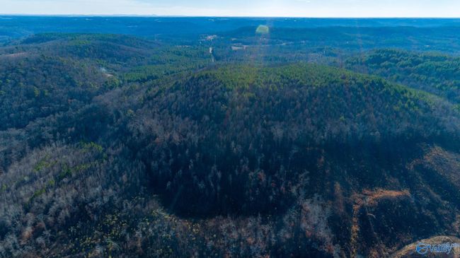 80 acres Rock Creek Rd, Home with 0 bedrooms, 0 bathrooms and null parking in Eva AL | Image 29