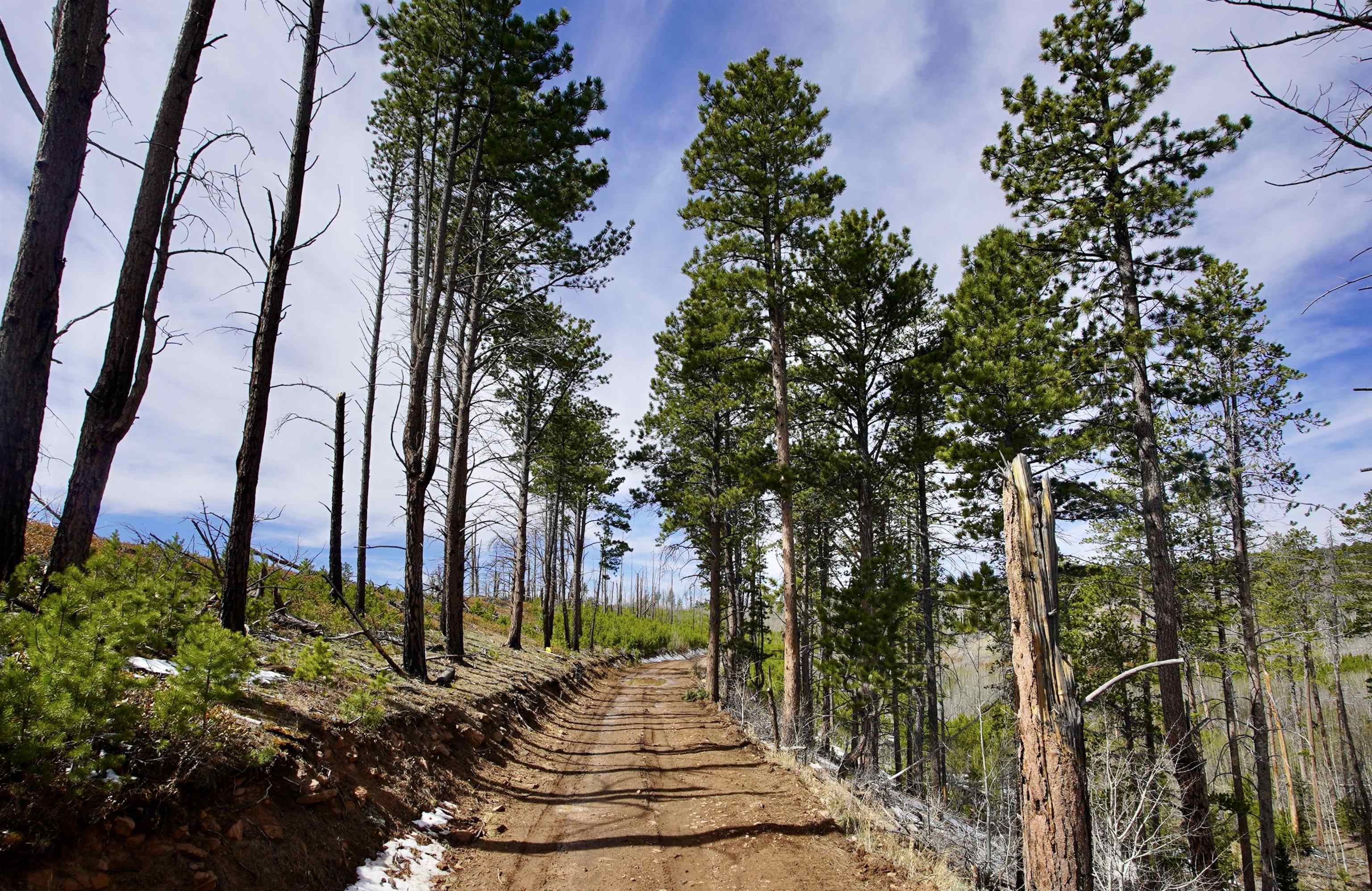 Land in Casper 3