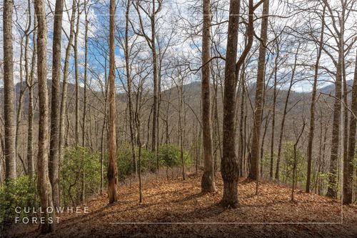 Lot 55 Cullowhee Forest Rd, Cullowhee, NC, 28723 | Card Image