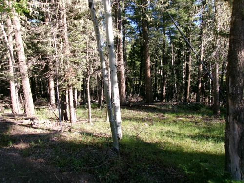125 Calle De Los Indios, Angel Fire, NM, 87710 | Card Image