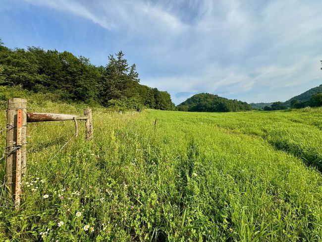 E13758 Highway 82, House other with 4 bedrooms, 2 bathrooms and null parking in Stark WI | Image 48
