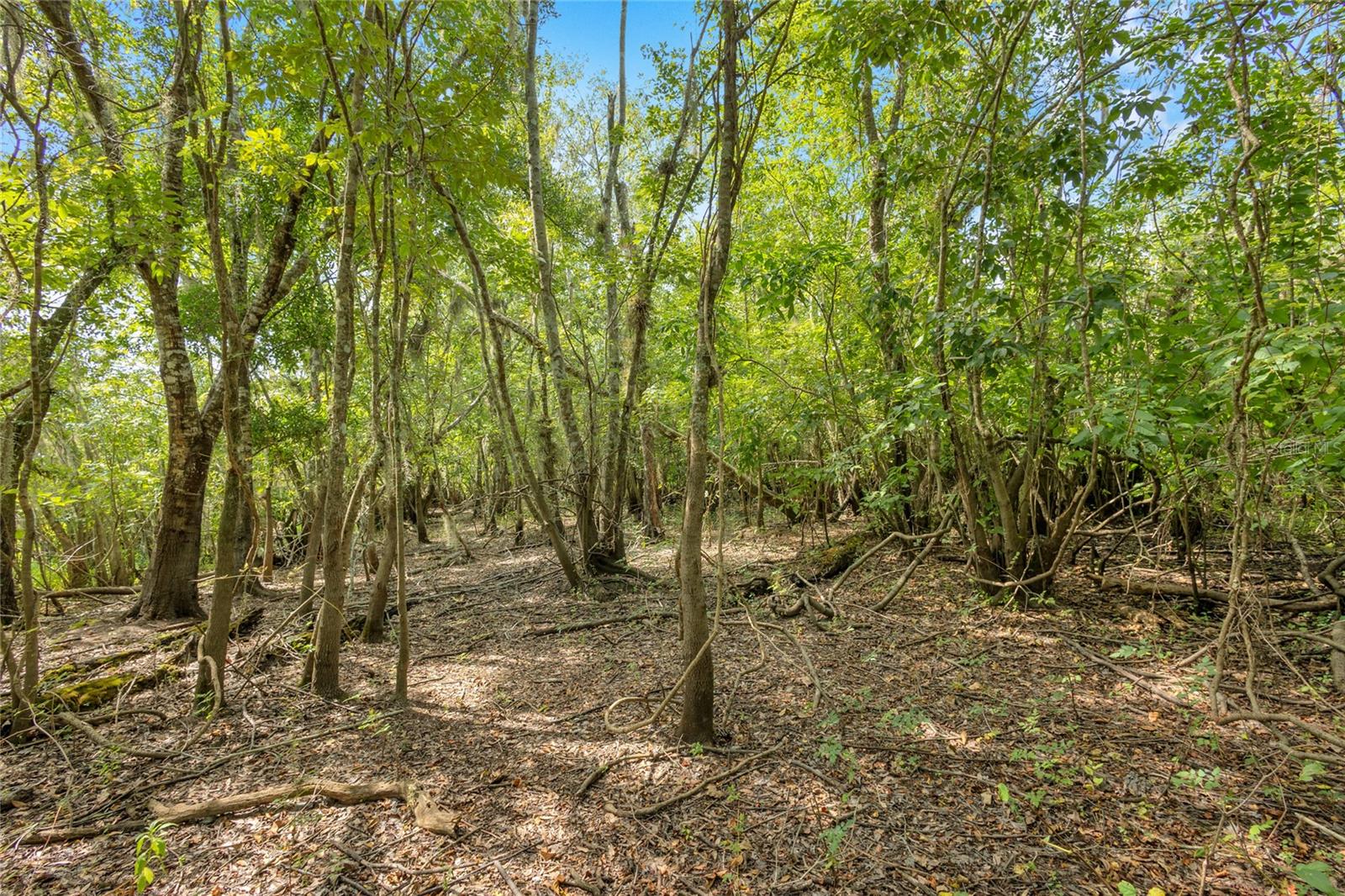 Land in DELAND 4