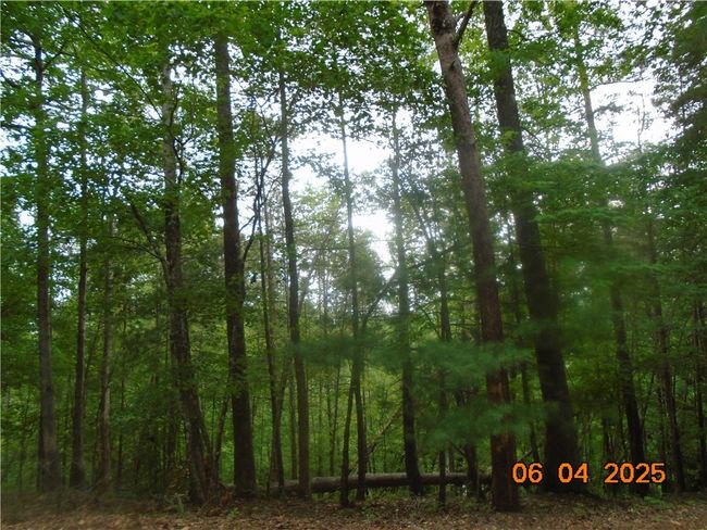 1000 E Cedar Creek Rd, Home with 0 bedrooms, 0 bathrooms and null parking in Sunset SC | Image 12