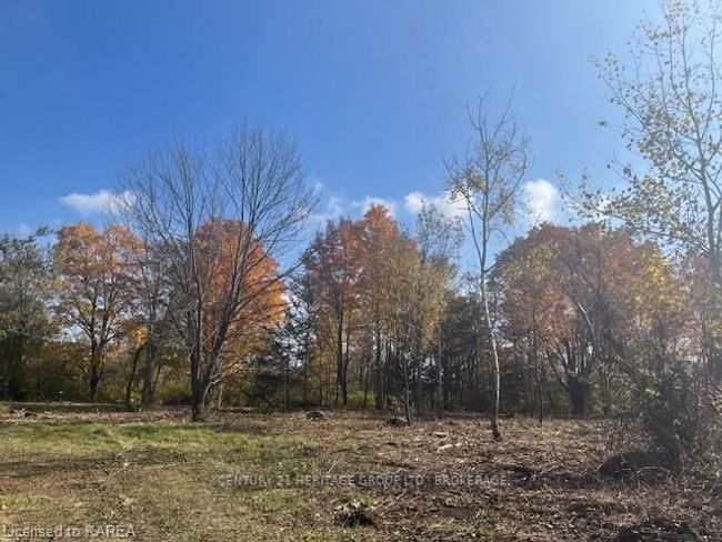 2183 Unity Rd, Home with 0 bedrooms, 0 bathrooms and null parking in Elginburg ON | Image 4