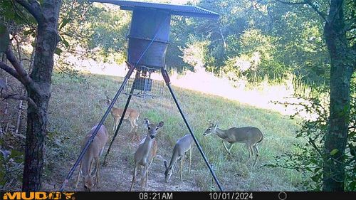 0 Sandy Creek Rd, Garwood, TX, 77442 | Card Image