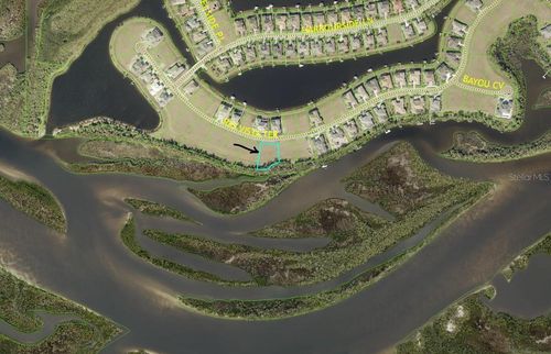 1624 Rio Vista Ter, Parrish, FL, 34219-2898 | Card Image