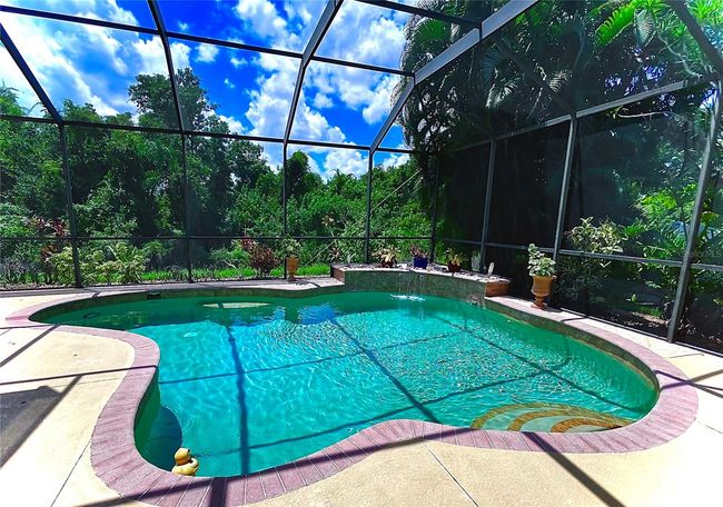 Pool with Preserve View | Image 5