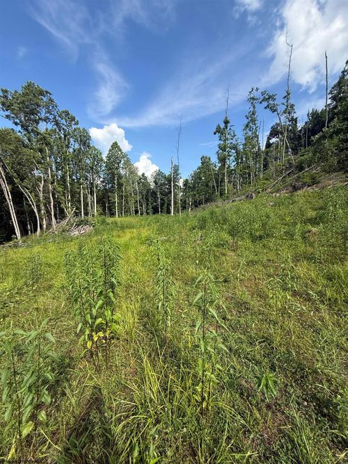 TBD Knights Fork Rd, West Union, WV, 26456 | Card Image