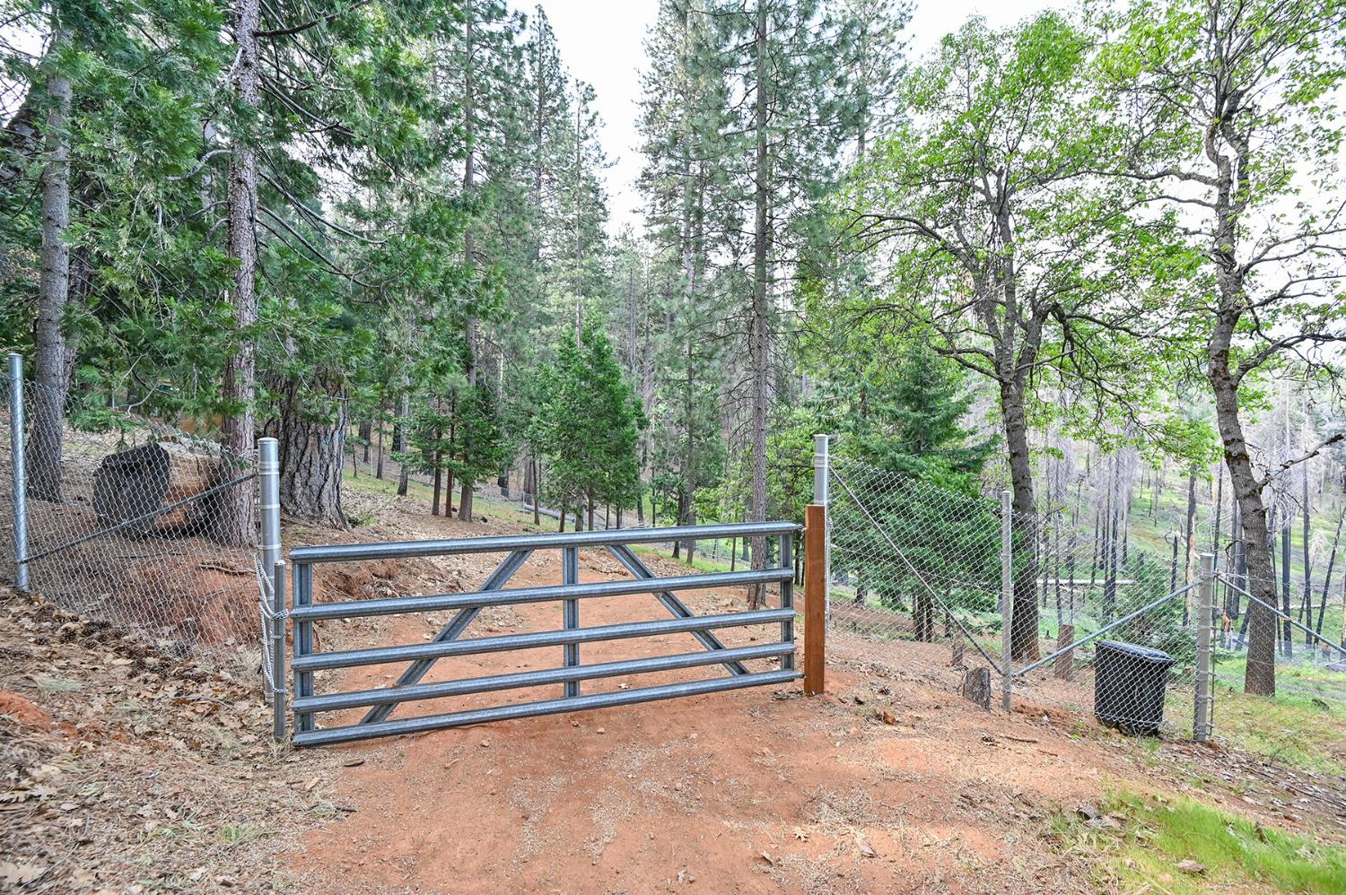Land in Grizzly Flats 3
