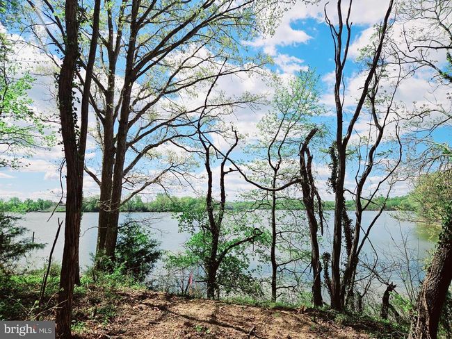 Lot 1 Zacata Rd, Home with 0 bedrooms, 0 bathrooms and null parking in Montross VA | Image 7