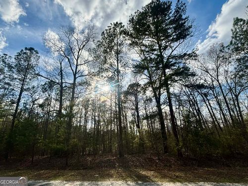 676 Tayler Paige Drive, Box Springs, GA, 31801 | Card Image