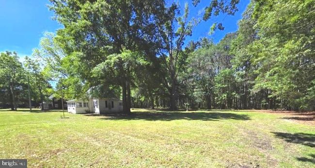 4340 Hoopers Neck Rd, House other with 3 bedrooms, 1 bathrooms and null parking in TAYLORS ISLAND MD | Image 5
