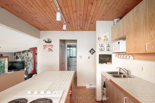 39 Dagwaagi Lane S, House other with 4 bedrooms, 1 bathrooms and 5 parking in Curve Lake ON | Image 22