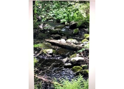 1 Van Tuyl Rd, Barryville, NY, 12719 | Card Image