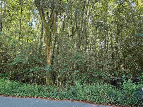 TBD Doggett Cir, Horatio, AR, 71842 | Card Image