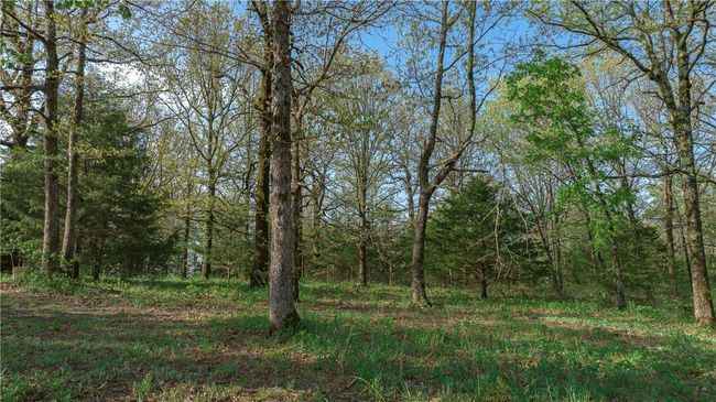 Wooded and cleared | Image 19