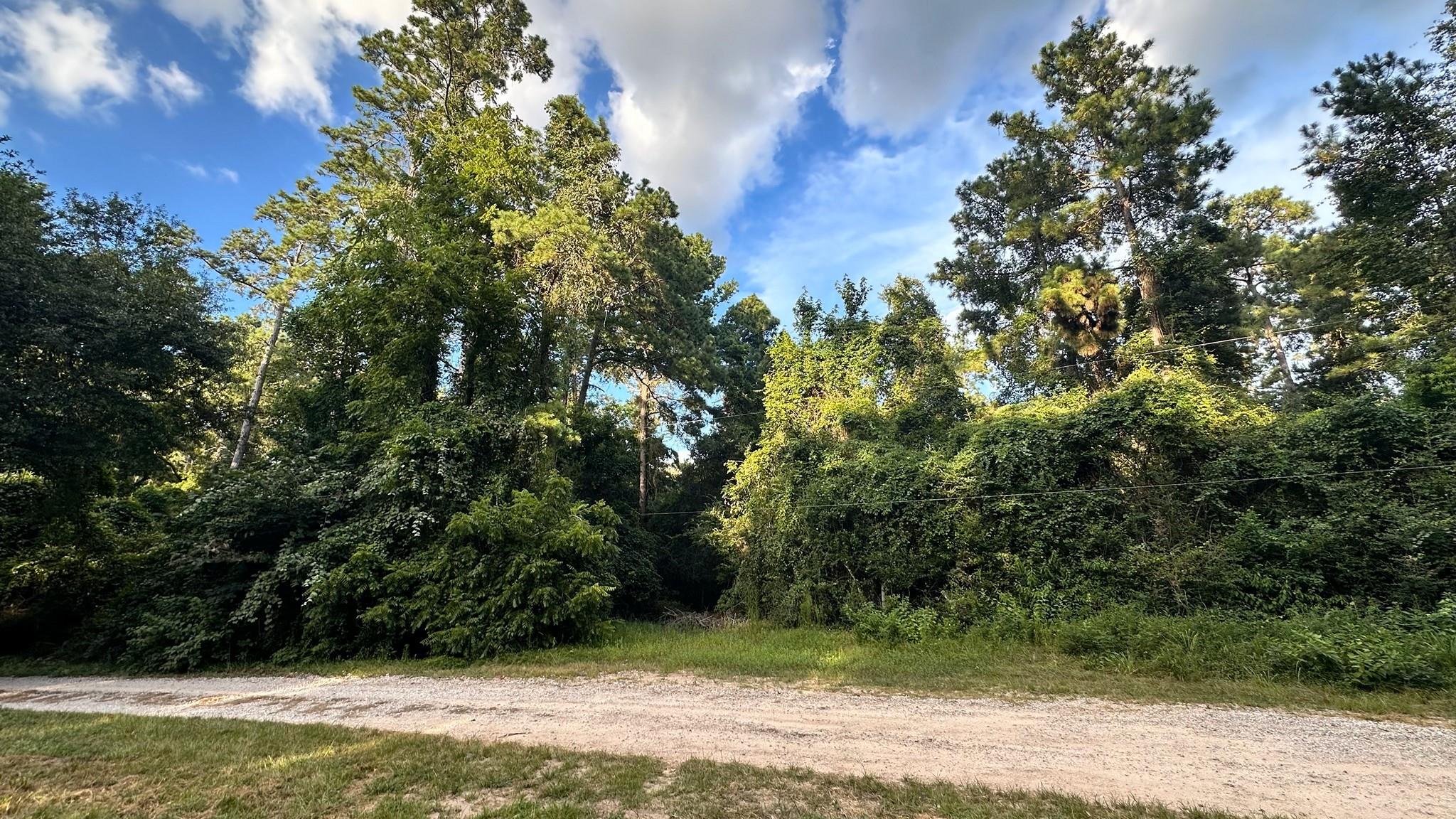 Land in Hockley 5