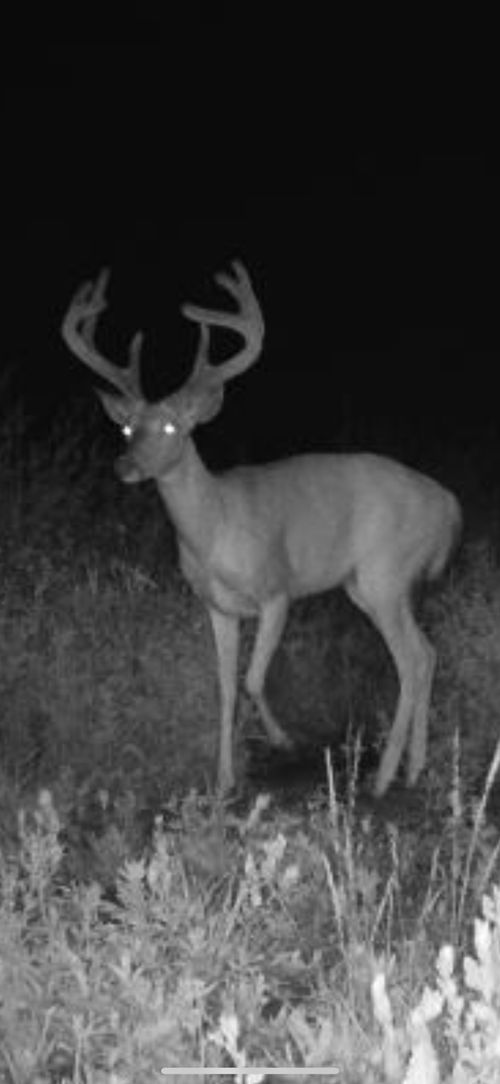 2759 State Highway, Waubun, MN, 56589 | Card Image