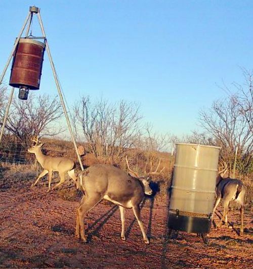 TBD Pr Off Of Cr 444, Merkel, TX, 79536 | Card Image