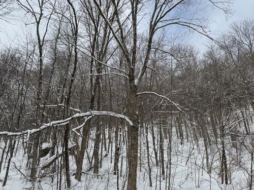 917 Eligo Lake Rd, Greensboro, VT, 05841 | Card Image