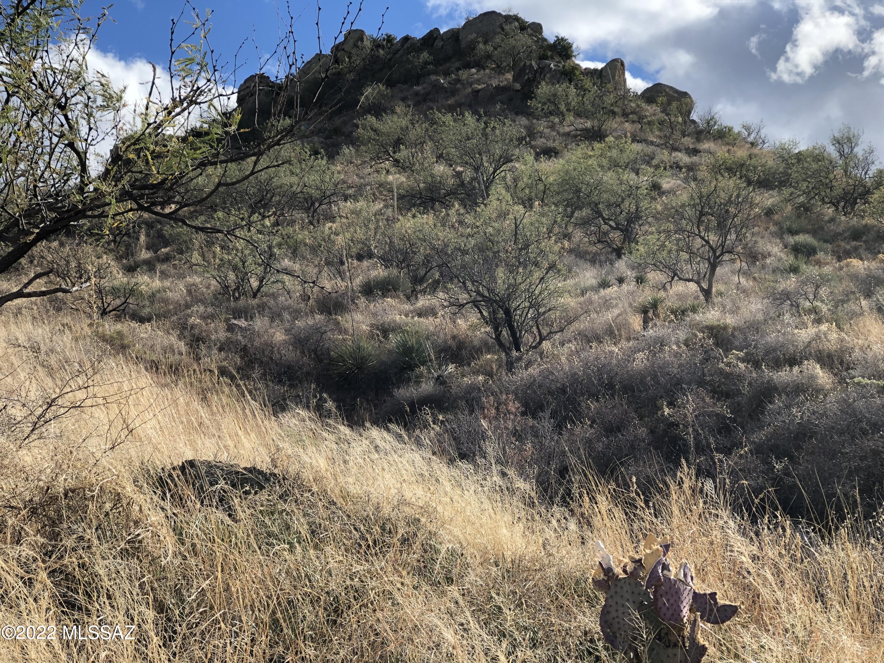 Land in Rio Rico 4